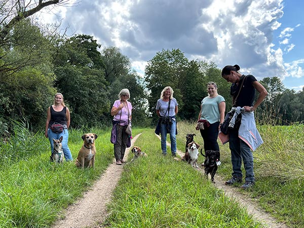 Pfotenzeit Hundeschule Regensburg - Gruppenstunde Pfotendetektive – die Superspürnasen Pfotenzeit Hundeschule Regensburg - Gruppenstunde Pfotendetektive – die Superspürnasen
